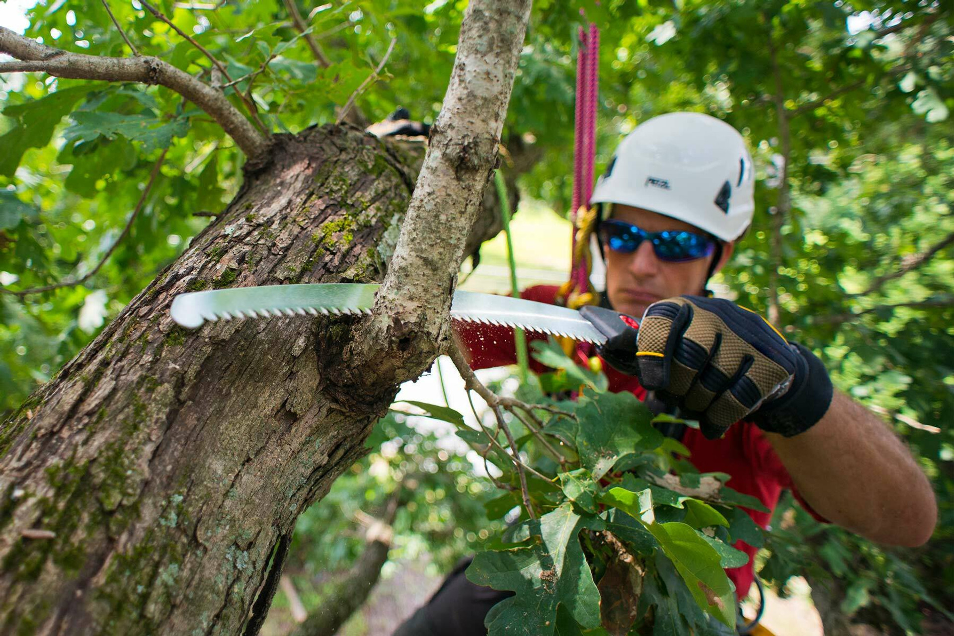 Udendørs Værktøjsbutik 2 Udendørs Værktøjsbutik -Udendørs Værktøjsbutik 03